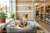 Small Acts That Add Up: Helping the Animals in Your Community