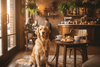 8 Dog Friendly Date Ideas: Unforgettable Adventures for Dog Lovers and Their Pups