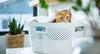 Spring Cleaning for Cat Owners: How to Control Odors, Cat Hair, and Litter Mess