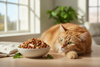 Flavor Enhancer for Cat Food: Boost Taste and Win Fussy Eaters
