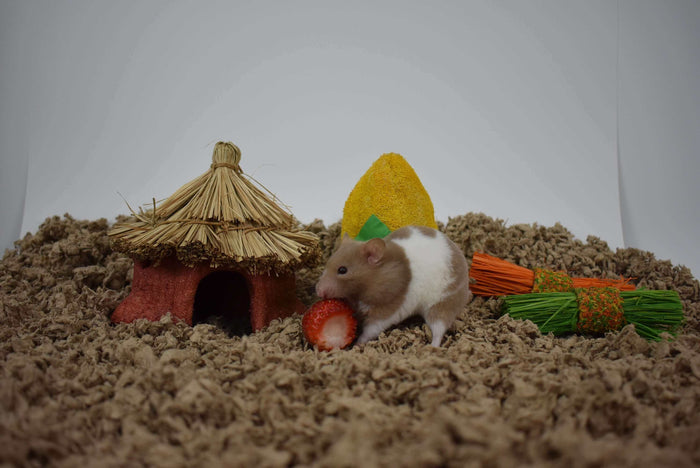 Providing the best care possible for your hamster includes selecting the safest, most comfortable bedding and nesting material for their home. It should allow them to burrow and hide, just like in their natural environment, but also needs to be absorbent,