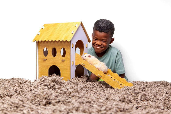 Small pets, like rabbits, guinea pigs, and hamsters, deserve a stimulating and safe environment to thrive. While traditional cages or hutches are often the default option, many pet owners are turning towards a free-roam setup to give their small pets more