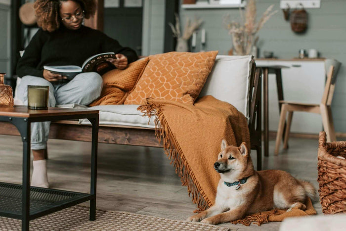 Photo by Vlada Karpovich Dogs are companions, confidants, protectors, and family members. They have an uncanny ability to touch our hearts with their loyalty, courage, and unconditional love. For dog owners, the bond shared with a furry friend often becom
