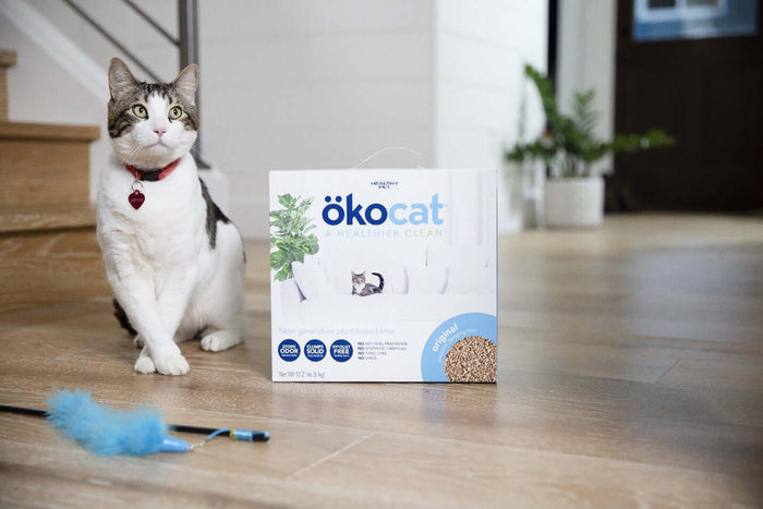 The right litter choice for your cat is a type that she is happy to use and simultaneously meets a pet parent’s prerequisite for easy cleanup and effective odor control.Fortunately, pet parents now have better options than clay litter such as eco-friendly