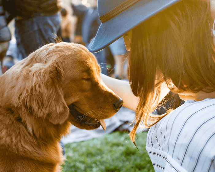Image source: https://unsplash.com/photos/closeup-photography-of-woman-holding-adult-golden-retriever-sWkkIiTJMYc A Brief Overview of Emotional Support Animals An Emotional Support Animal is a companion that helps individuals manage mental or emotional he