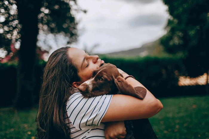 Photo by Helena Lopes on Unsplash As pet owners, we want our furry companions to be as healthy as they can be. A wagging tail, bright eyes, and high energy are signs of a happy dog. Their digestive health is one of the most important factors that contribu