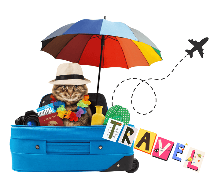 Traveling with pets can be challenging. Certification for Emotional Support Animals can make the journey much smoother; in this article, we explore how ESA certification eases travel with ESAs and provide key tips that ensure their journey goes as smoothl
