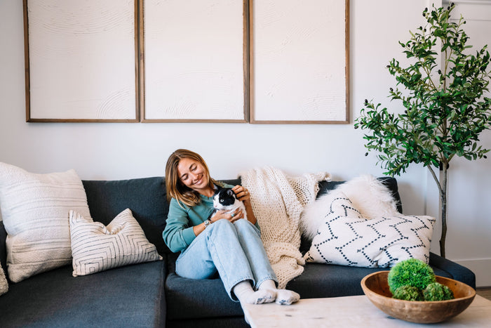 The Cat Parent's Guide to a Fragrance-Free Home