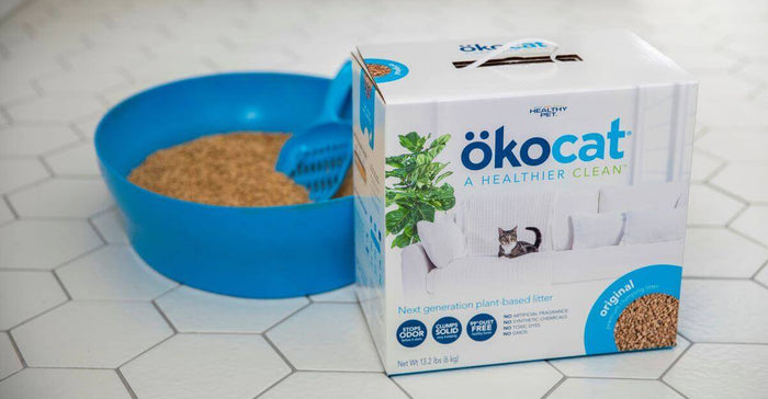 We all love our cats and want to provide them the best life and home possible. How can you not love that sweet face and soft purr? There are certain parts of cat care that can be a little challenging, however; like cat litter tracked all over the house, o