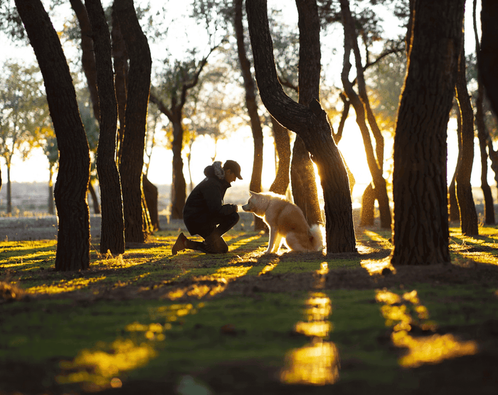 Photo by Unsplash Who can resist those adorable puppy dog eyes or the purrfect cuddle from your feline friend? Pets enrich our lives in countless ways. But did you know that with a few simple tweaks to your pet care routine, you can benefit your beloved c