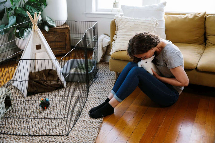 Playtime and socializing are an essential part of being a small animal pet parent. As with everything when it comes to your new pets, start gradually. Once you’ve let your new furry friend adjust to their new home then you’re both ready to have some playt