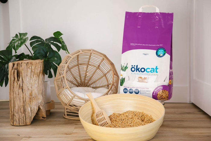 If you’re thinking about indoor air quality (IAQ) in a home with cats, your litter choice matters more than most people realize. Every scoop, pour, and paw-step can release tiny particles into the air—especially if the litter is dusty, heavily scented, or