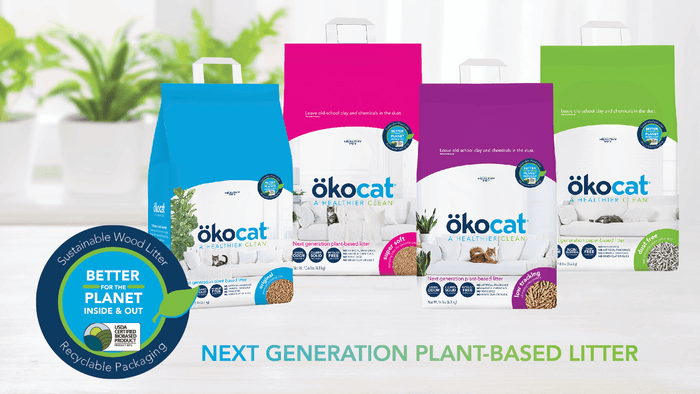 The battle between paper and plastic packaging is ongoing, but for eco-conscious consumers, paper often comes out on top. Here are seven compelling reasons why you should consider opting for paper packaging for your cat litter. 1. Environmentally Friendly