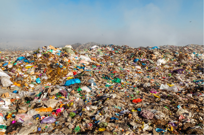 The Hidden Environmental Cost of Traditional Clay Cat Litter