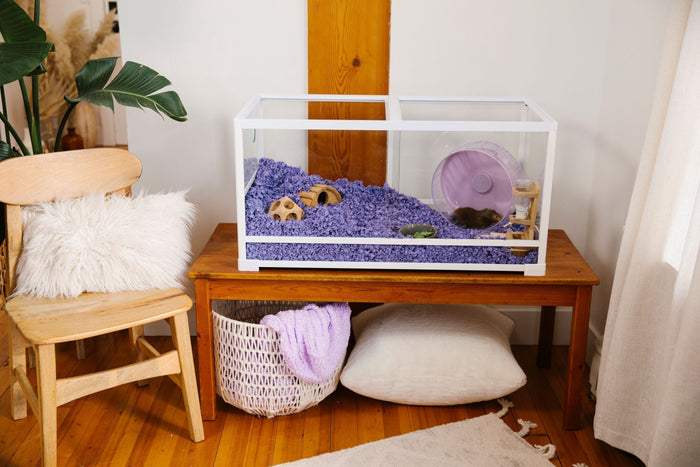 Paper Bedding vs. Wood Shavings: Which Is the Safer Choice for Small Pets?
