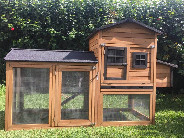 As a cat mom or dad, you’ll no doubt make little Charlie or Bella’s well-being a top priority. You’ll know full well that cats crave the freedom to explore. But you’ll also be aware that the neighbourhood, away from the sanctity of your home, can be rife