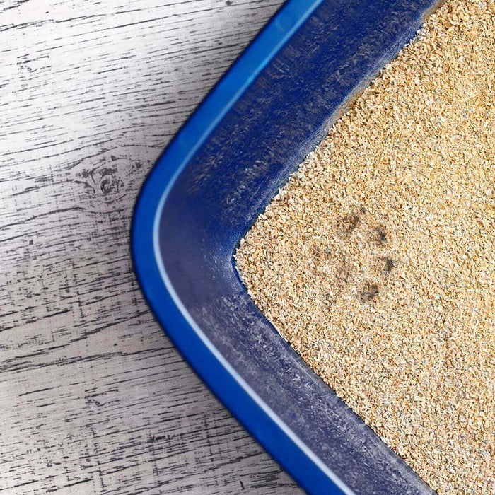 These days there are SO many choices when it comes to cat litter. We've come a long way from only having a few non-clumping, inexpensive clay litters to choose from. Now there is everything from crystal litter that changes colors, to all kinds of clumping