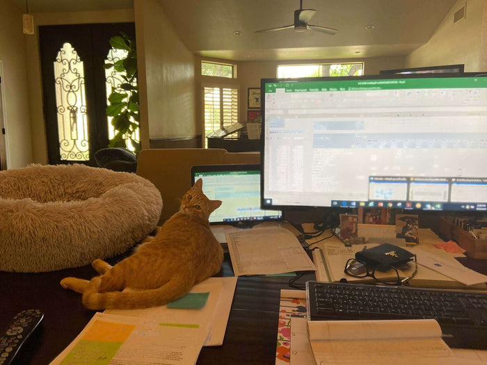 June 22nd is National Bring your Cat to Work Day, but with most of the nation working from home due to COVID-19 restrictions, we know that for many of you, every day has become bring your cat to work day. We wanted to learn more about what you are doing t