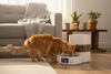 The Hidden Risks of Smart Pet Feeders