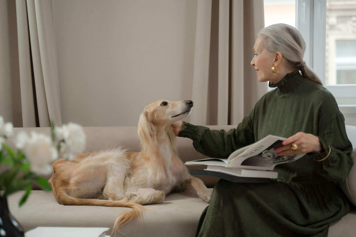 Bringing a dog into your life as a pet is a moment of pure joy, but it also includes the responsibility of creating a secure and satisfying space for your new best friend. Dogs are extremely sensitive, yet they also rely on their owners to lead them, be c