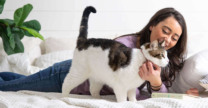 As cat parents we love our kitties and we want to make the best choices to make sure our fur babies live their best life. Read on to discover three easy tips to make your cat’s life better. When caring for your cat and looking to improve their life and yo