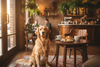 8 Dog Friendly Date Ideas: Unforgettable Adventures for Dog Lovers and Their Pups