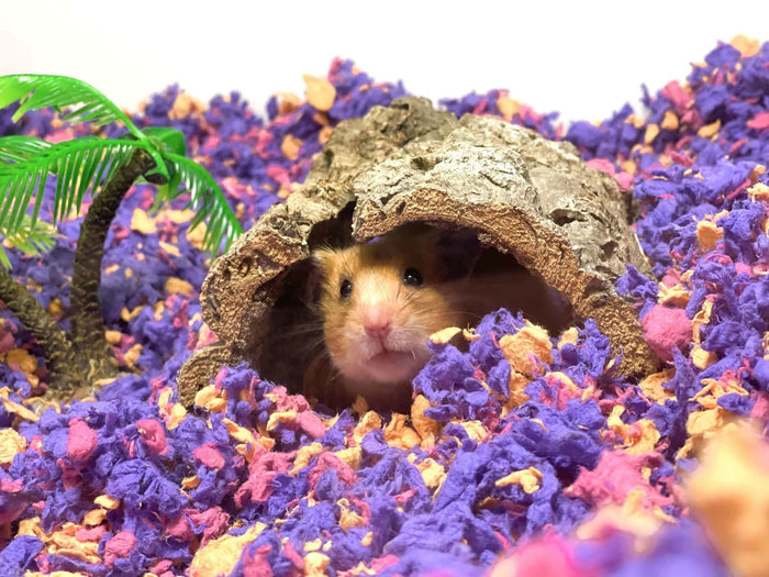 Bedding isn’t just “the stuff on the bottom of their home.” For small pets, it’s a 24/7 environmental input that affects breathing, skin, digestion, stress levels, and even how safely they can move around. The right bedding can reduce odor and moisture, s