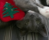 Give Your Cat the Purrfect Green Holiday: 10 Eco-Friendly Gift Ideas