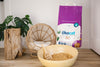 Back to Basics: How to Set Up the Purr-fect Litter Box with ökocat® Natural Cat Litter