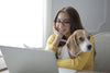 How to Be a Responsible Pet Owner? – Rules to Follow