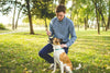 8 Reasons Why Dog Training Is So Important
