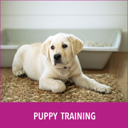 Natural Paper Fiber Dog Litter