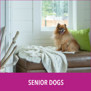 Natural Paper Fiber Dog Litter