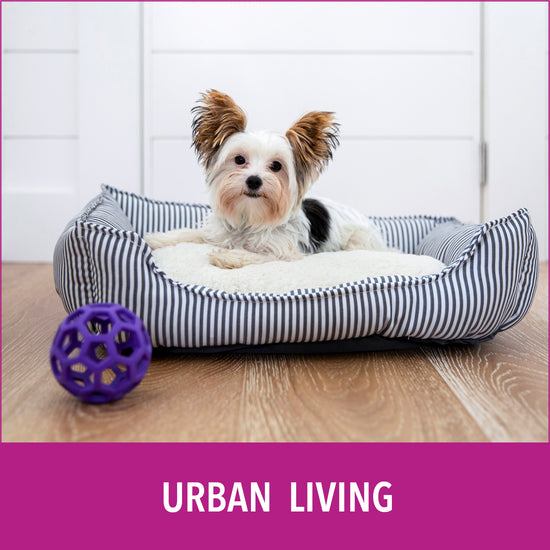 Natural Paper Fiber Dog Litter