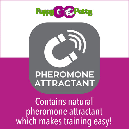 Natural Paper Fiber Dog Litter